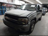 Chevrolet Trailblazer Ls 1GNDT13S252337350 снимка