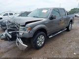 Ford F-150 Xlt 1FTFW1EF1EFA68548 снимка