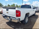 Chevrolet Silverado  Work Truck 1GCEC14C07Z556984 снимка