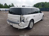 Miniaturka zdjęcia 6