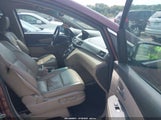 Honda Odyssey Ex-L 5FNRL5H6XBB096891 снимка