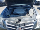 Cadillac Cts Standard 1G6DP57V480111032 снимка