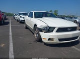 Ford Mustang V6 1ZVBP8AM6C5253526 снимка