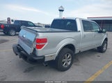 Ford F-150 Platinum 1FTFW1ET8BFB84427 снимка