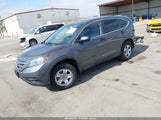 Honda Cr-V Lx 2HKRM3H36DH503780 снимка