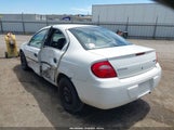Dodge Neon Se 1B3ES26C14D583496 fotografie