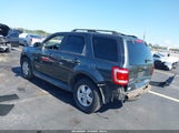 Ford Escape Xlt 1FMCU03Z38KB76001 снимка