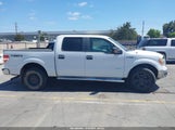 Ford F-150 Xlt 1FTFW1ET9BFB79172 снимка