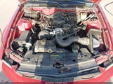 Ford Mustang V6 Deluxe/V6 Premium 1ZVFT80N255143101 photo