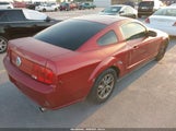 Ford Mustang V6 Deluxe/V6 Premium 1ZVFT80N255143101 fotografie