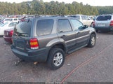 Ford Escape Xlt 1FMCU03123KA61568 снимка