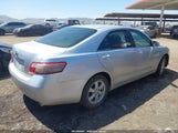 Toyota Camry Le V6 4T1BK46K49U086756 photo