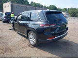 Miniaturka zdjęcia 3