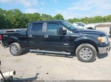 Ford F-150 Xlt 1FTFW1ETXEFB33967 снимка