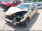 Lexus Es 330 JTHBA30G145024576 photo