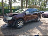 Lincoln Mkx 2LMDU68C89BJ02407 снимка