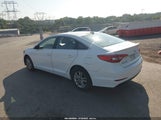 Hyundai Sonata Se 5NPE24AF9GH281108 снимка