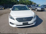 Hyundai Sonata Se 5NPE24AF9GH281108 снимка