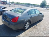 Nissan Maxima 3.5 Sl 1N4BA41E56C820224 снимка