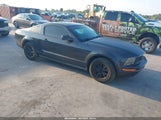 Ford Mustang V6 Deluxe/V6 Premium 1ZVHT80N385112078 photo
