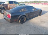 Ford Mustang V6 Deluxe/V6 Premium 1ZVHT80N385112078 fotografie