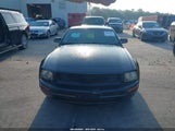 Ford Mustang V6 Deluxe/V6 Premium 1ZVHT80N385112078 photo