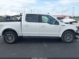 Ford F-150 Xlt 1FTEW1EP9LFB52960 снимка