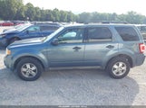 Ford Escape Xlt 1FMCU0D7XBKA78555 снимка