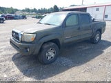 Toyota Tacoma Base V6 3TMLU4EN7BM076456 снимка