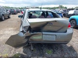 Ford Focus Se 1FAHP3FN8AW282430 снимка