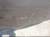 Honda Civic Lx 2HGFA16589H539119 снимка