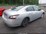 NISSAN MAXIMA 3.5 S 1N4AA5AP5EC450670 снимка