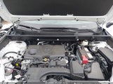 Toyota Rav4 Xle 2T3P1RFVXPW361891 fotografie