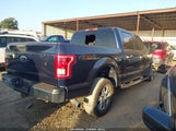 Ford F-150 Xlt 1FTEW1EP1HKD32447 снимка