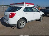 Chevrolet Equinox Ls 2GNALBEK1C1126613 снимка