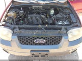 FORD ESCAPE XLT 1FMYU03125KA93980 снимка