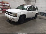 Chevrolet Trailblazer Ls 1GNDT13S342228460 снимка