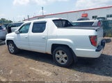 HONDA RIDGELINE RTL 5FPYK1F59CB453844 photo