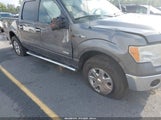 Ford F-150 Xlt 1FTFW1ETXDFA42647 снимка
