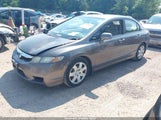Honda Civic Lx 19XFA16549E004833 снимка