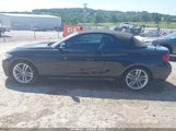 BMW 228I WBA1K9C52GV321848 fotografie