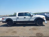 Ford F-150 Xlt 1FTFW1EF2BFB12102 снимка