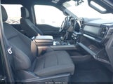 Ford F-150 Xlt 1FTFW3LD0RFA37892 снимка