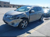 Nissan Murano Le JN8AZ18W29W130272 photo