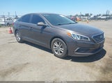 Hyundai Sonata 5NPE24AF4HH545692 снимка