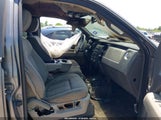 Ford F-150 Xl/Xlt 1FTRW12849KB12364 fotografie
