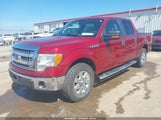 Ford F-150 Xlt 1FTFW1CF0DFE03462 снимка