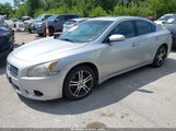 Nissan Maxima 3.5 Sv 1N4AA51E39C852692 снимка