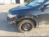 Acura Rdx 5J8TB4H33DL012856 снимка