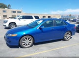 Acura Tsx JH4CL96888C005882 снимка
